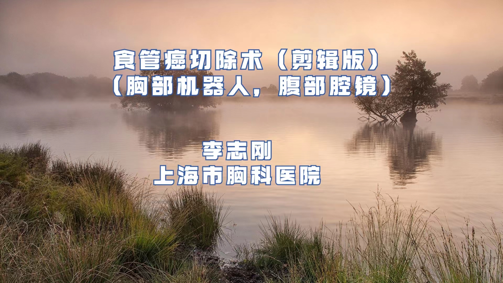 食管癌切除术（胸部机器人、腹部腔镜、剪辑版）李志刚-外科技术网