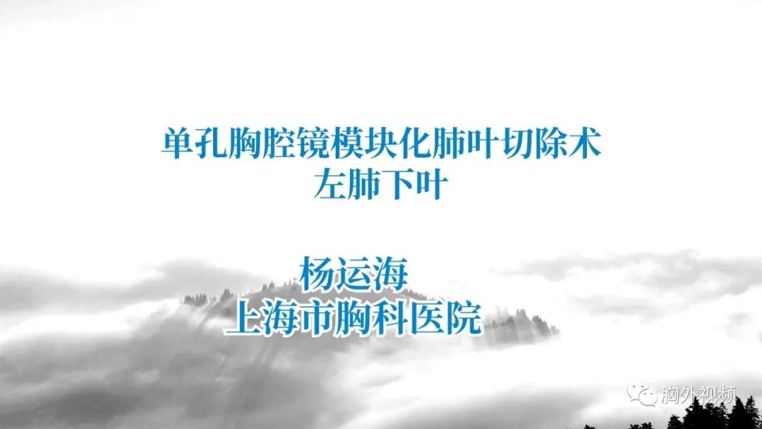 单孔胸腔镜模块化肺叶切除术：左肺下叶 杨运海-外科技术网