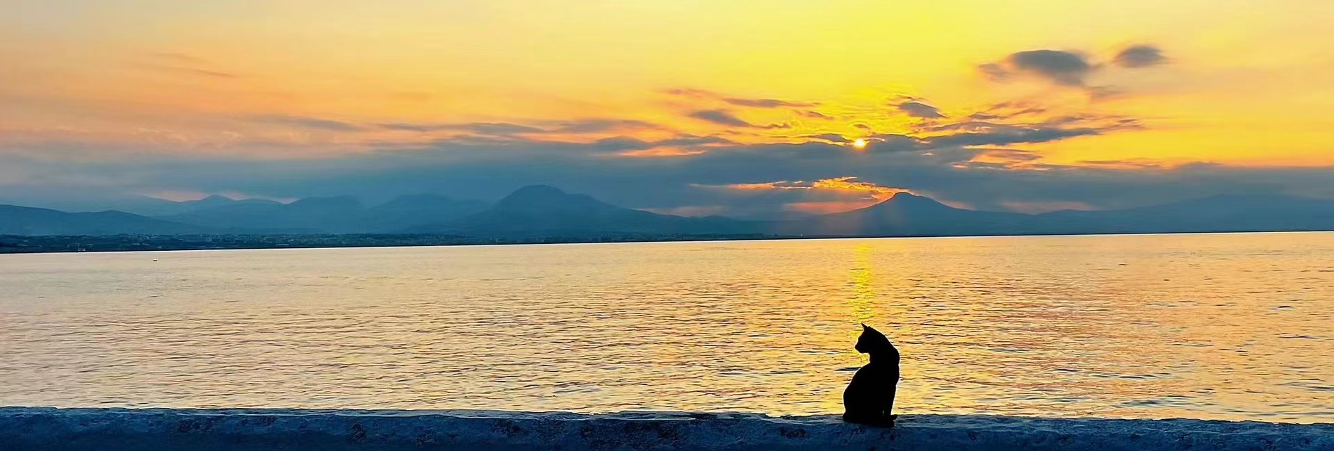 幻灯片-外科技术网