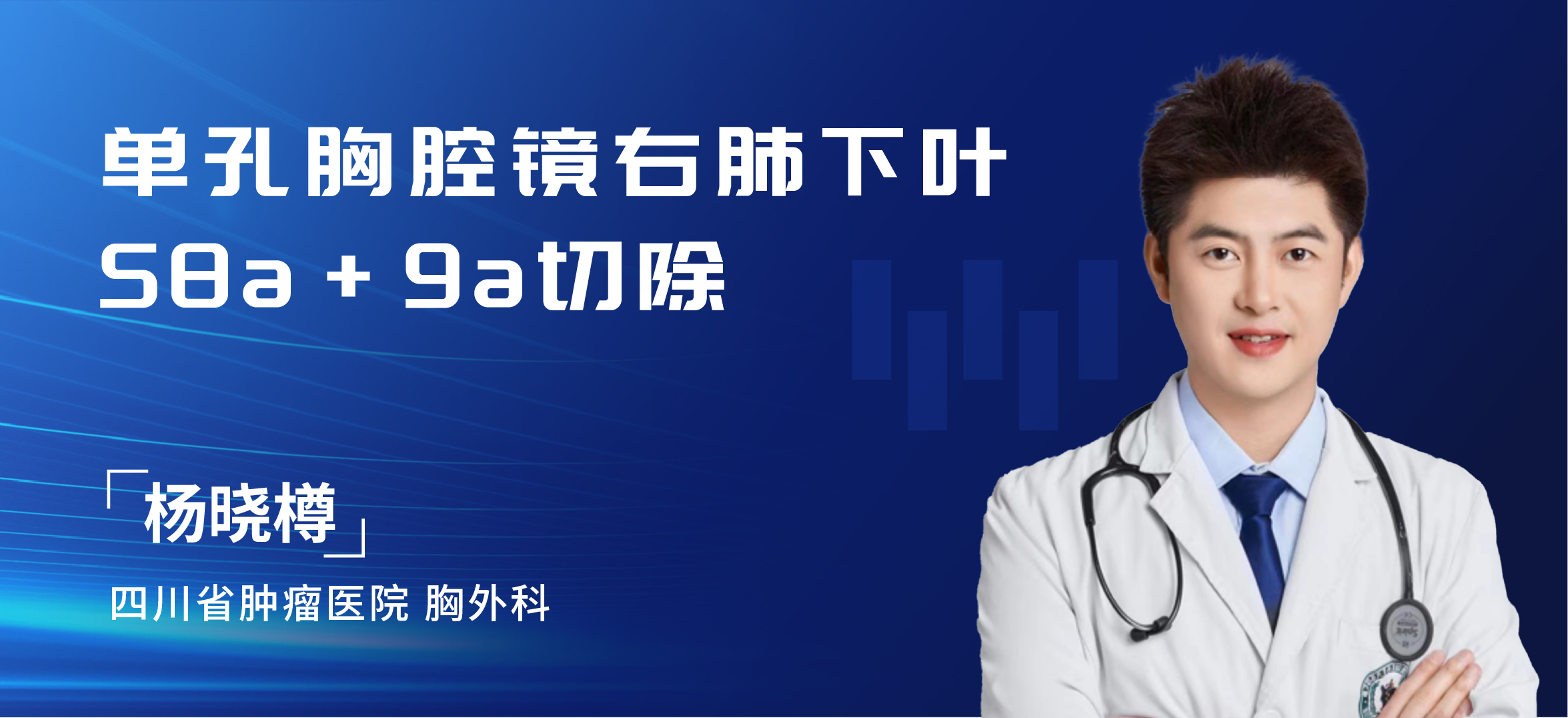 杨晓樽  单孔胸腔镜右肺下叶S8a+9a切除
