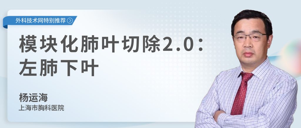 杨运海  模块化肺叶切除2.0:左肺下叶-外科技术网